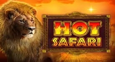 Hot Safari