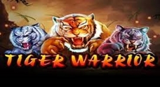 The Tiger Warrior